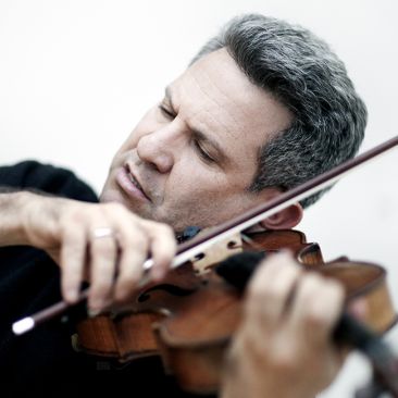 Zvi   Carmeli, Viola 